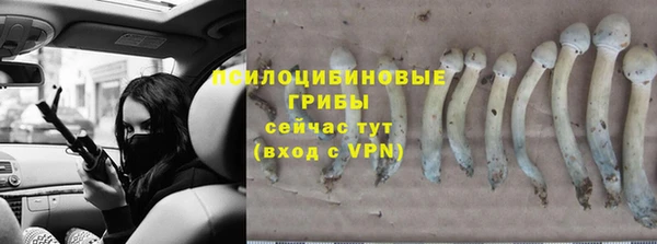 винт Уссурийск
