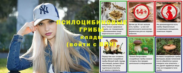 мяу мяу мука Новочеркасск