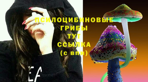 мяу мяу мука Новочеркасск