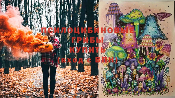 jwh Михайловск
