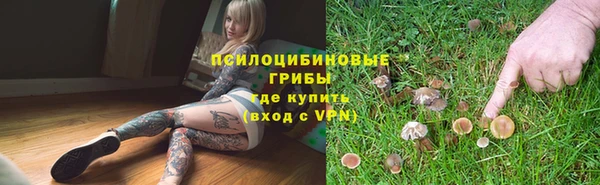 мяу мяу мука Новочеркасск