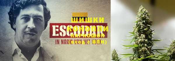 мяу мяу мука Новочеркасск