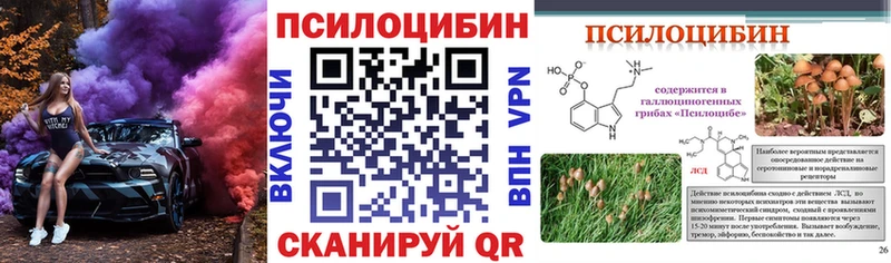 Купить где  Лобня  Псилоцибиновые грибы GOLDEN TEACHER 